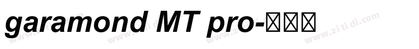 garamond MT pro字体转换